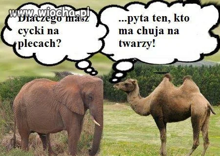 Hehee 