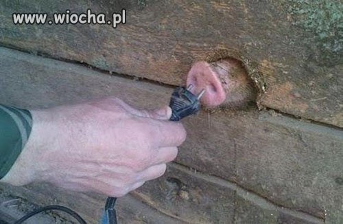 Łącze internetowe pana Józka - hodowcy drobiu.