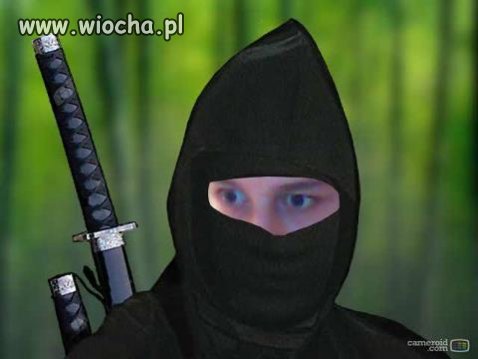 Ninja 