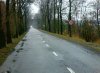 Niech jeszcze staną w krzakach z fotoradarem