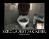 No właśnie