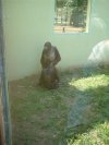 Tymczasem w zoo