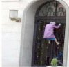 Babka spiderman