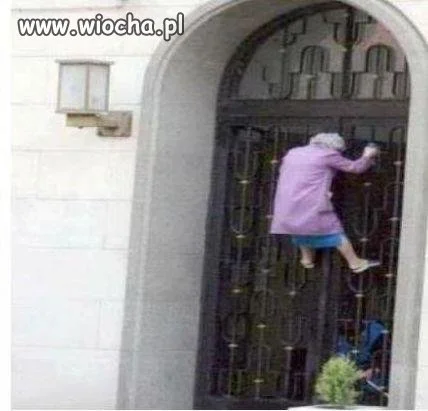 Babka spiderman