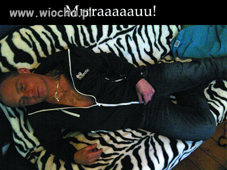 Następny ślicznotek...