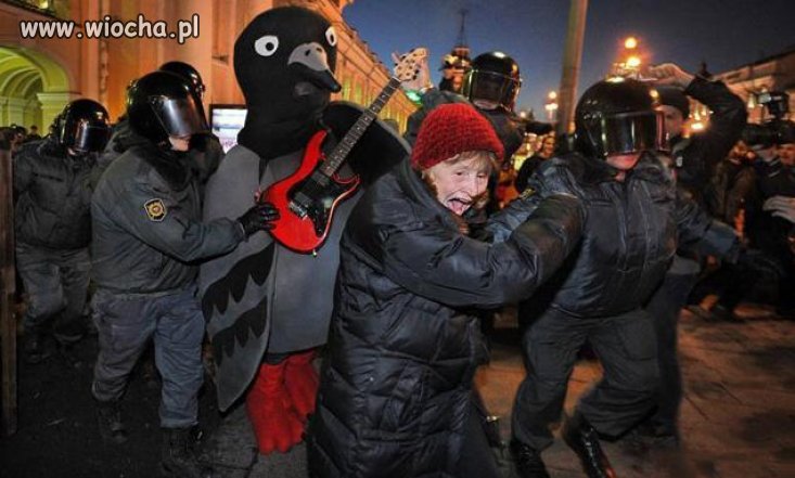 Babcia, wielki gołąb z gitarą i policja