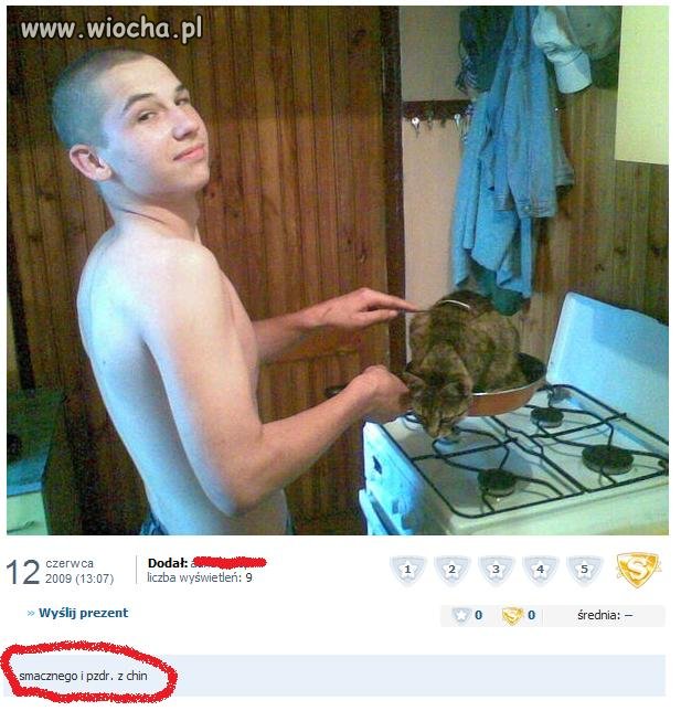 Pogratulować kotu 