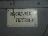 Magazynek trzepalni