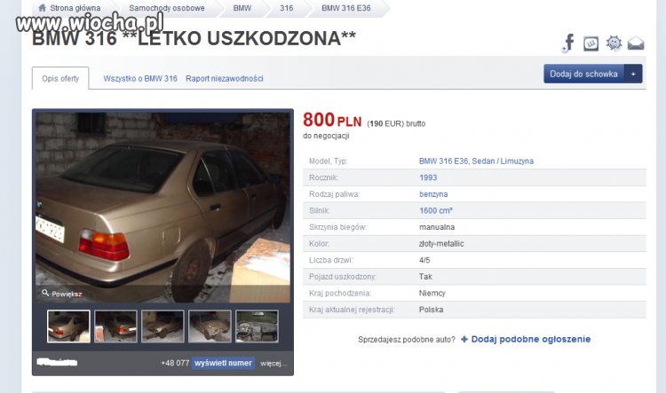 Letko niedouczony
