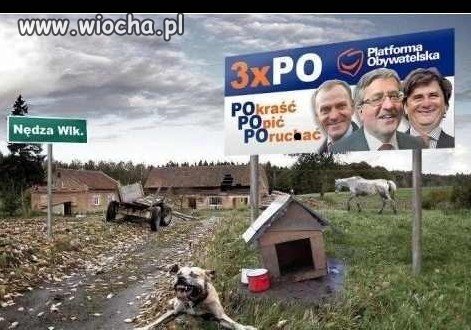 Kto chce PO?