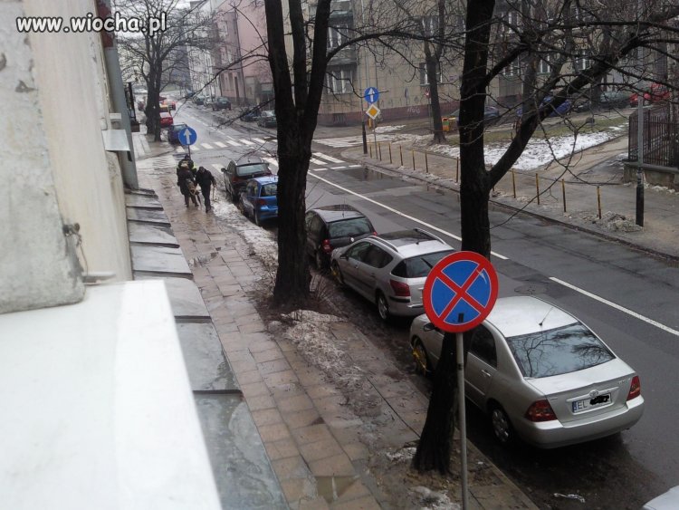 Pięciu debili na zakazie