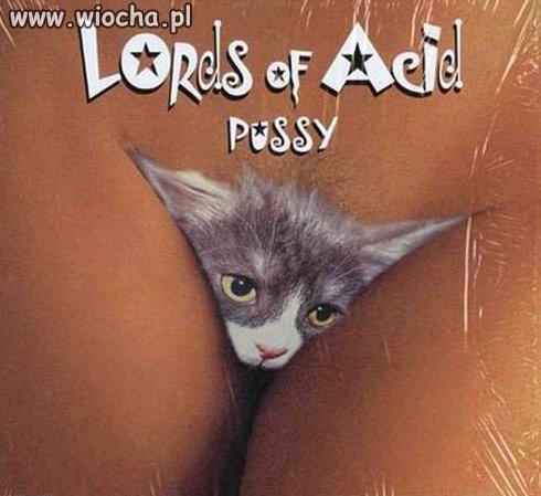 "Pussy"