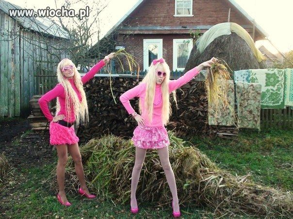 Gnojowniki pospolite