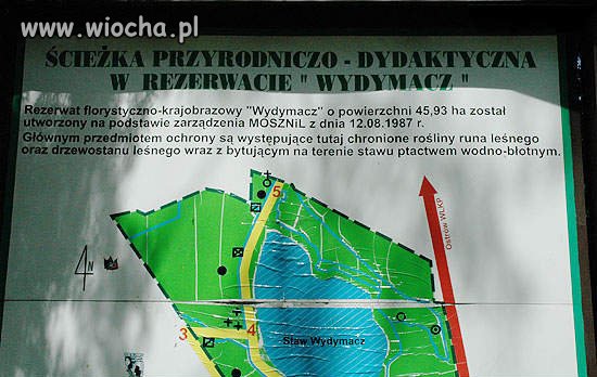Rezerwat