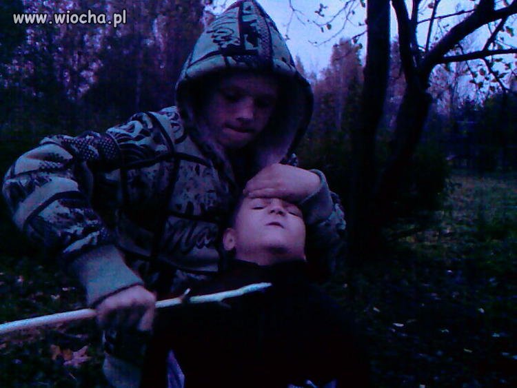 Wiocha.pl