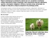UE otwiera drogę islamizacji