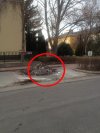Niepełnosprawny też potrzebują miejsca do parkowania...