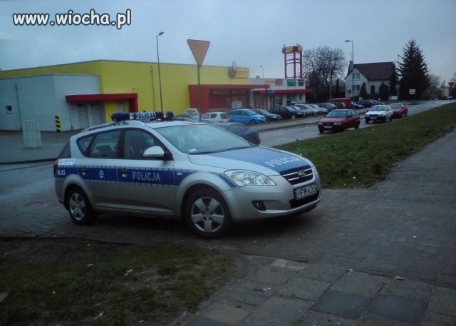 Pieski ładnie zaparkowały...