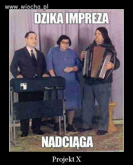 Dzika impreza