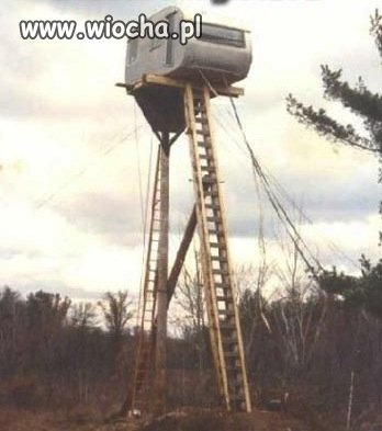 Hardkorowy domek na drzewie