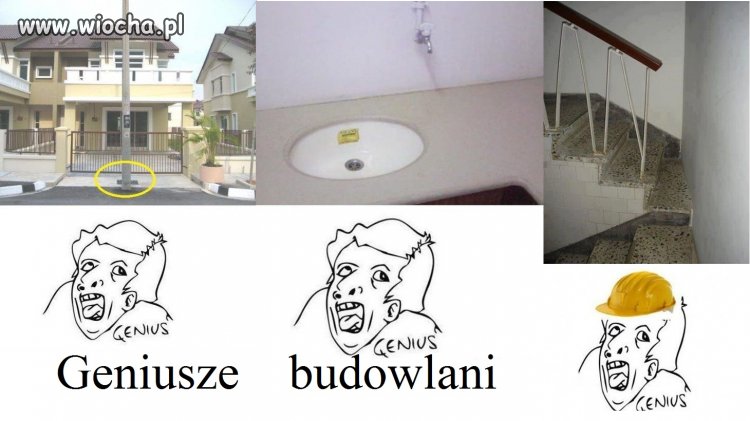 Miszczowe budowlanki.