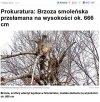 666 ... Czy to jakiś znak ?
