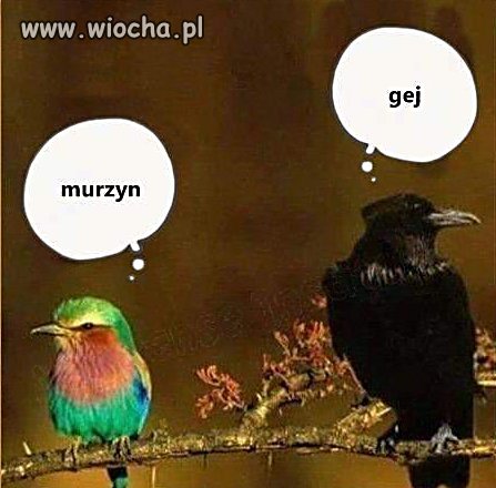 Niby śmieszna,trochę smutne