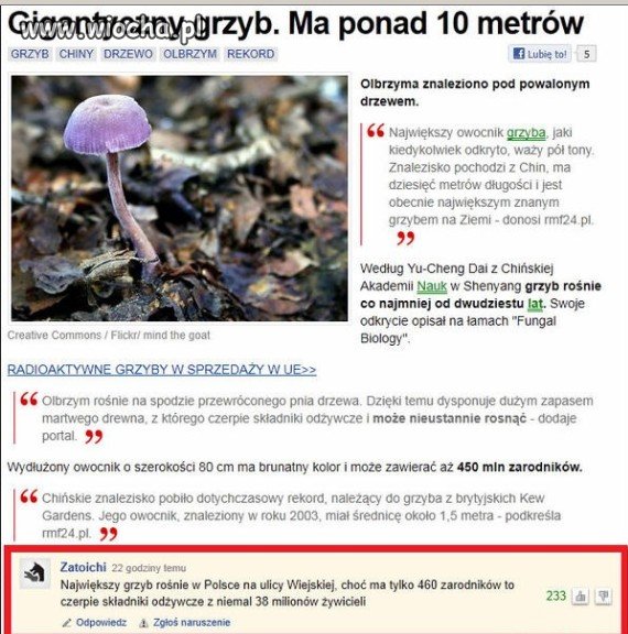 Jak tego grzyba się pozbyć?