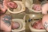 WC duck