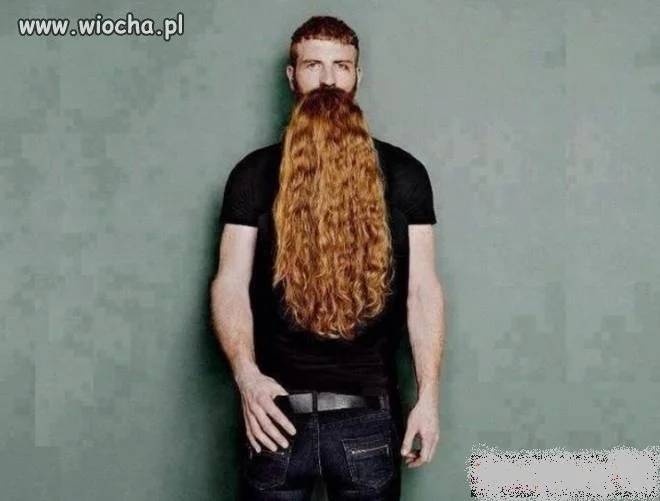 Coś dla humorku 