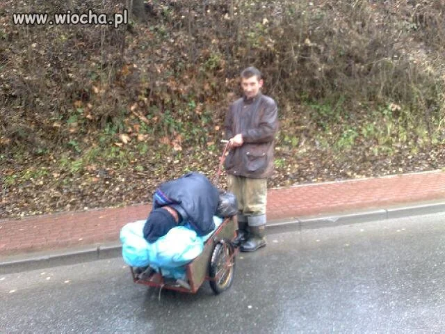 Eco-Taxi
