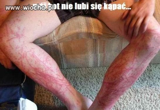 Kochany pupilek