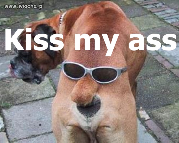 Kiss my Ass