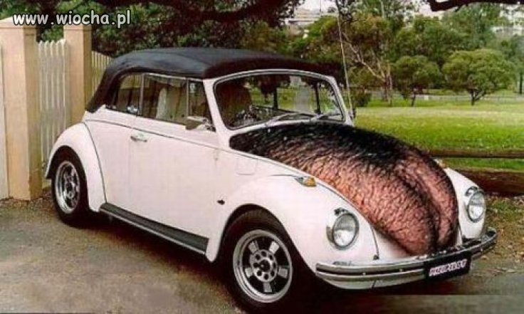 Auto nowej ery