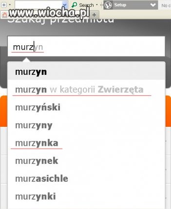 Allegro-Murzyn W Kategorii Zwierzęta