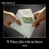 Polska to bardzo dziwny kraj ?!
