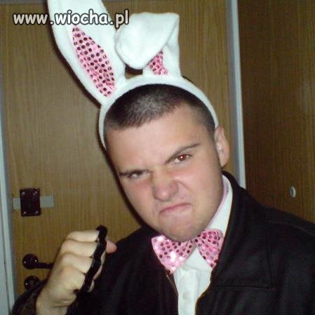 Niebezpieczny królik z Lublina