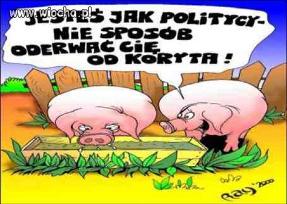 I tak to właśnie