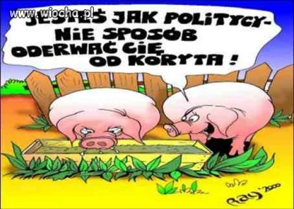 I tak to właśnie