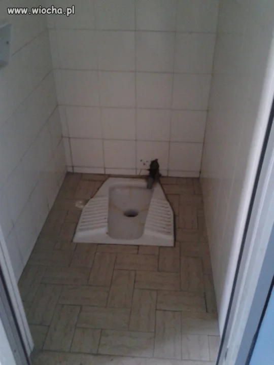 Kibel we Włoszech