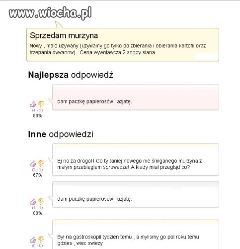 Sprzedam murzyna... 