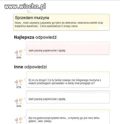 Sprzedam murzyna... 