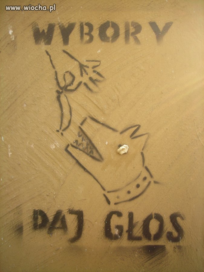 A Ty dasz?