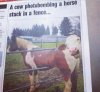 Mistrz drugiego planu...