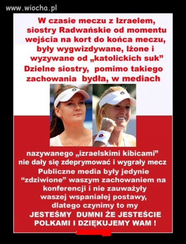 Gdyby nasi kibice zachowali by się tak jak oni
