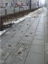 Sprzątanie po swoim psie nie boli...