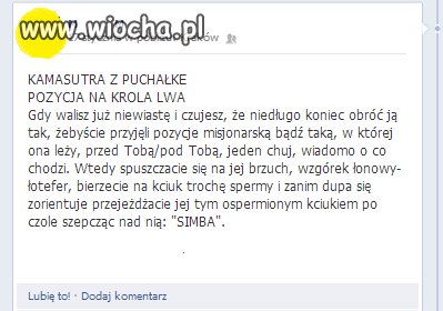 Pozycja na Króla Lwa