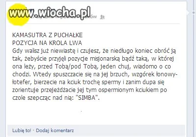 Pozycja na Króla Lwa
