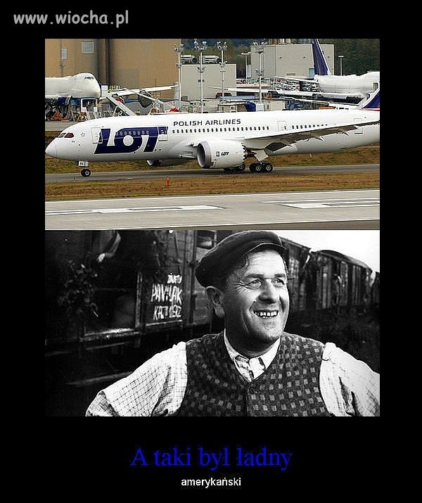LOT-em