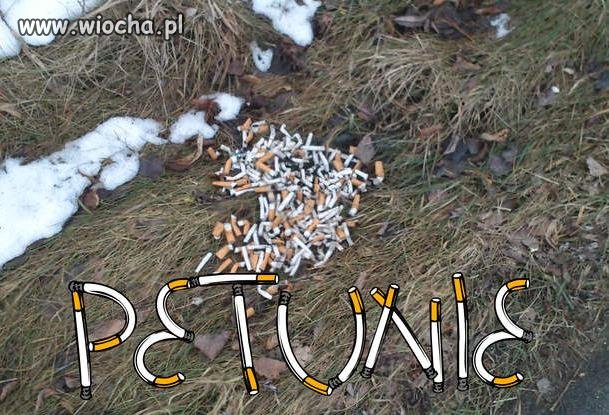 Śnieg prawie stopniał,wiosna idzie...
